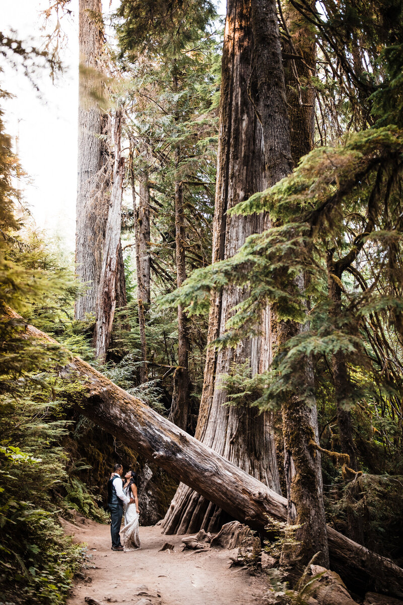 washington-elopement-photographer-12