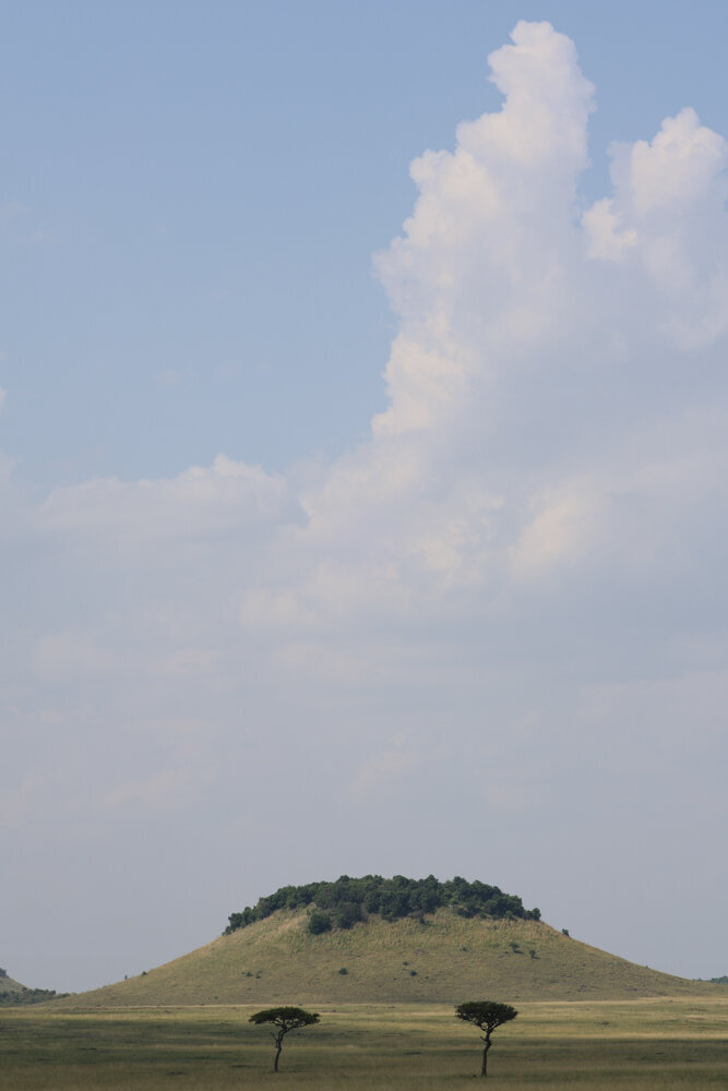 safariedited-409