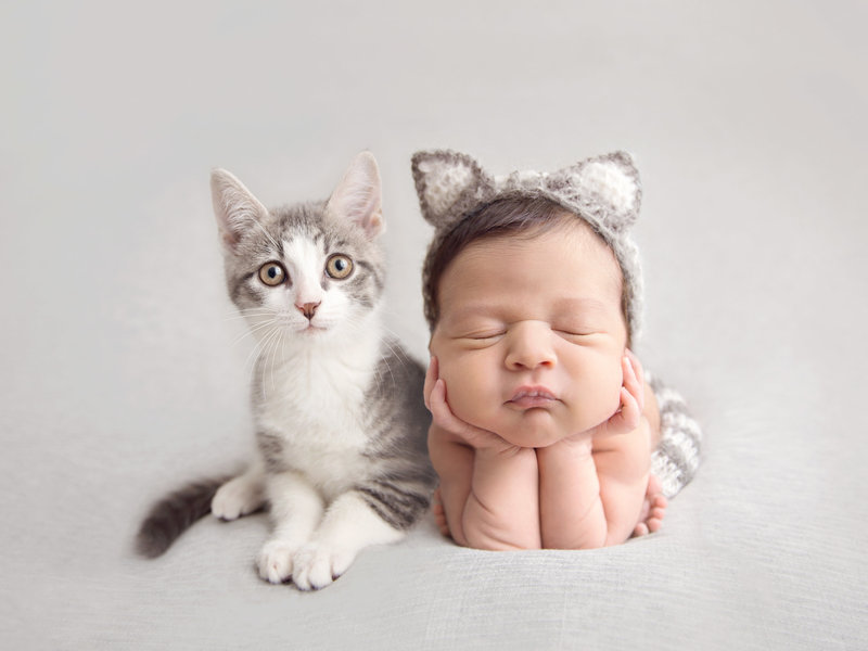 newborn baby in froggy pose with kitten