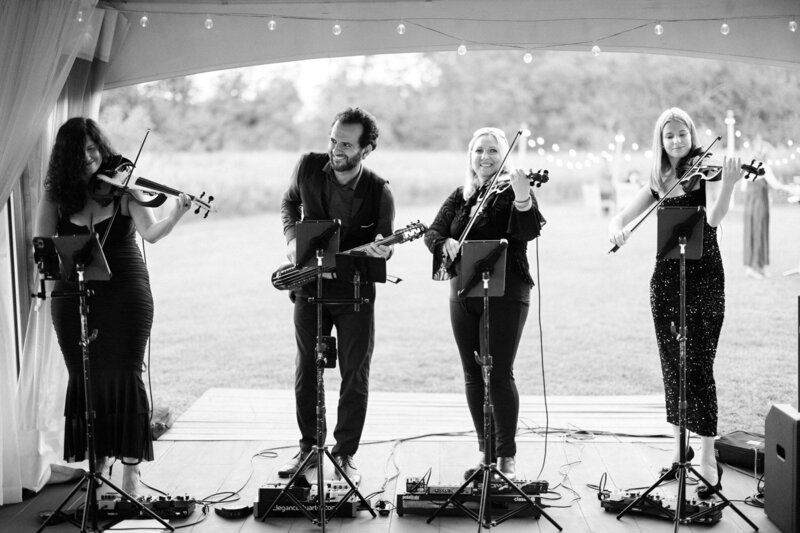 Elegance Quartet  musician performing on stage