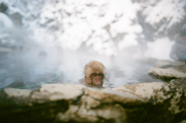 pitinada QHHT practitioner fine art photographer-177