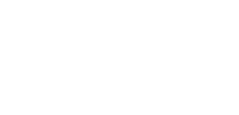 The Portrait Witch Logo