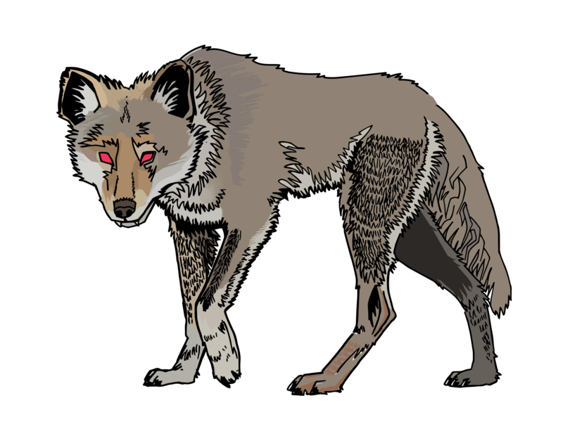 Coyote color
