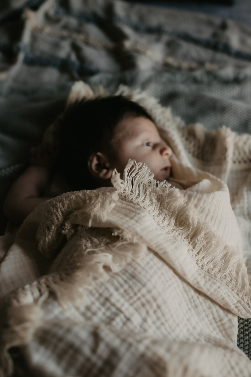rex newborn15