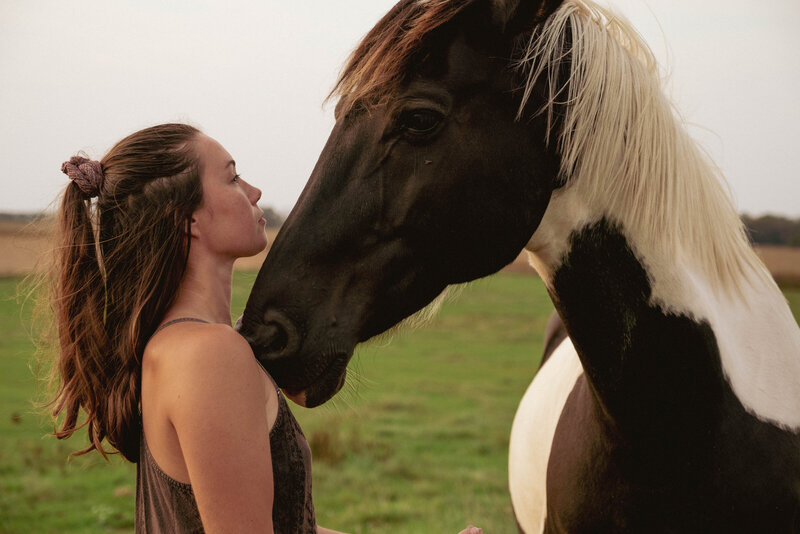 horse and heart connection 