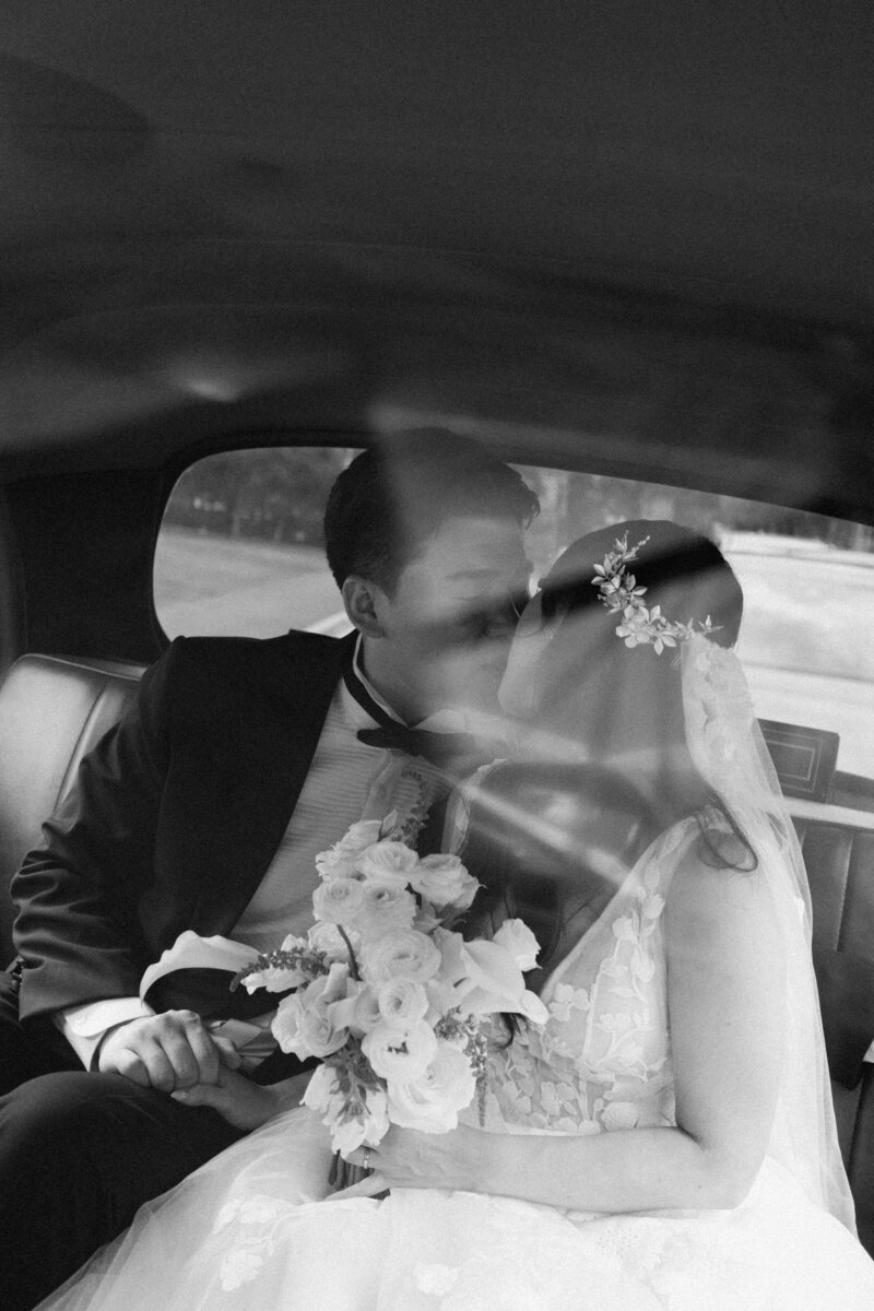 B&S - let's love studio - Taronga zoo-33