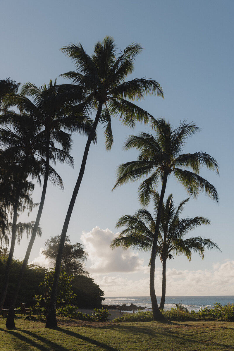 2024_0628_HCD_Kauai_030