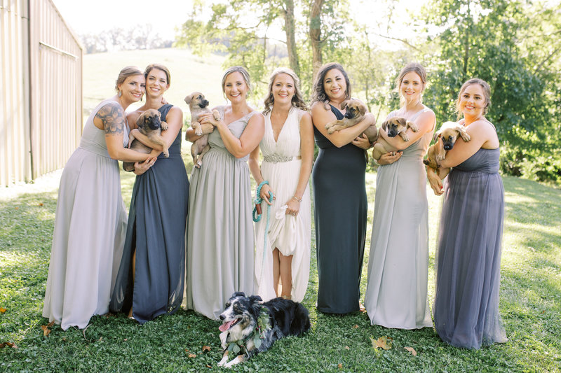 Bridesmaids hold puppies instead of bouquets and smile at the camera at Neltner's Farm in Cincinnati, Ohio