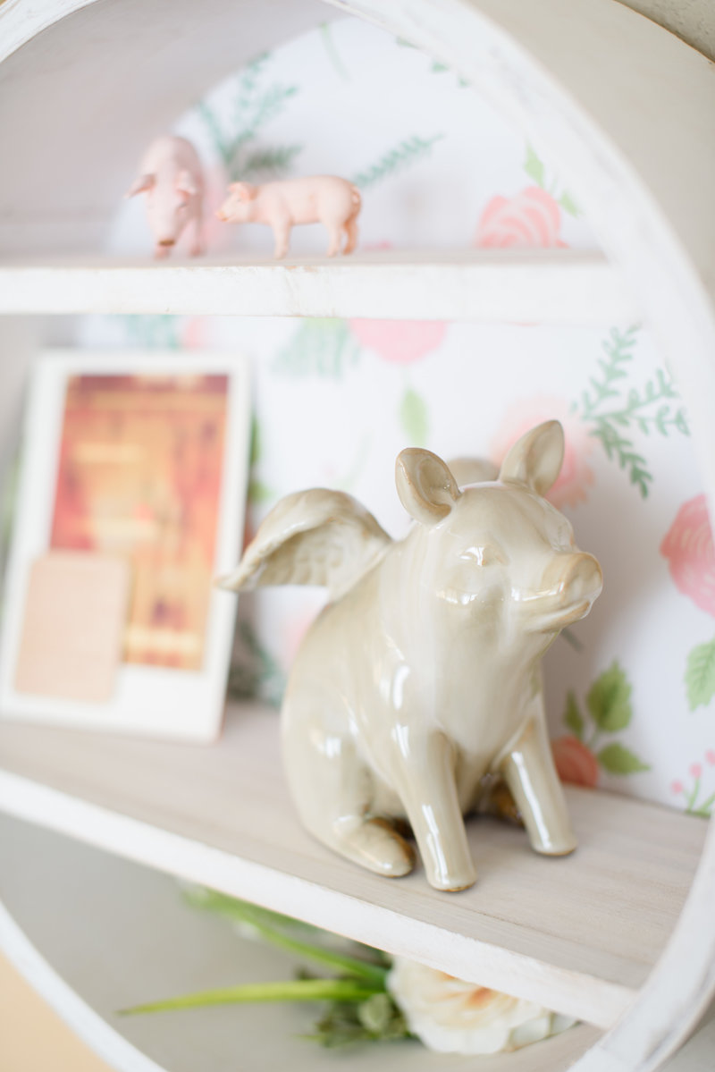 Marquette-LaRee-Payson-AZ-Photographer-Flying-Pig