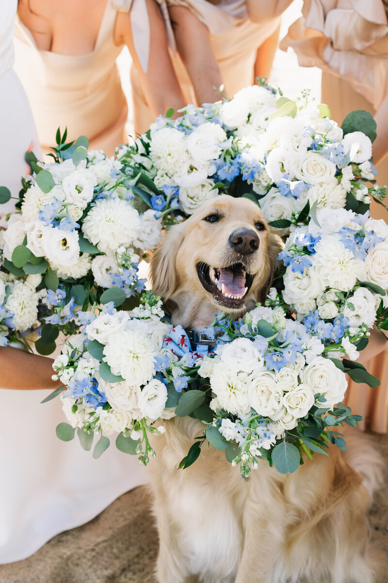 EmilyMcCaffertyPhotography-GatesWedding-Previews-45