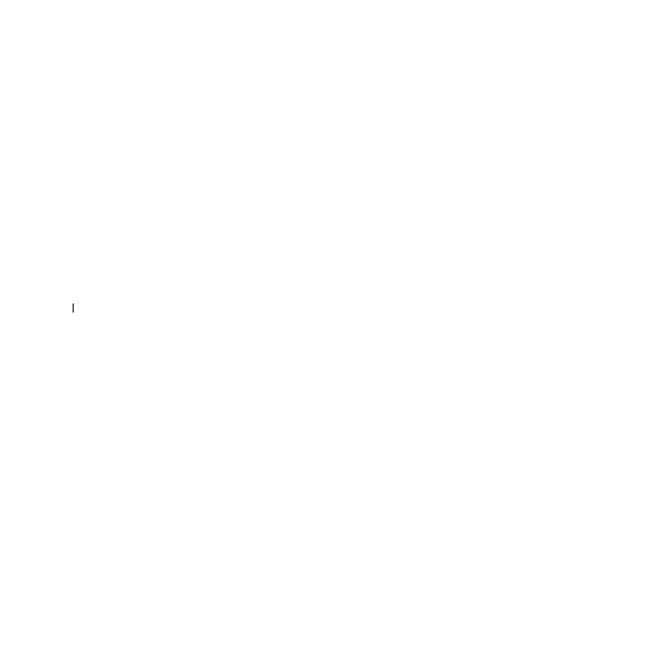 HeyTola_The-Root