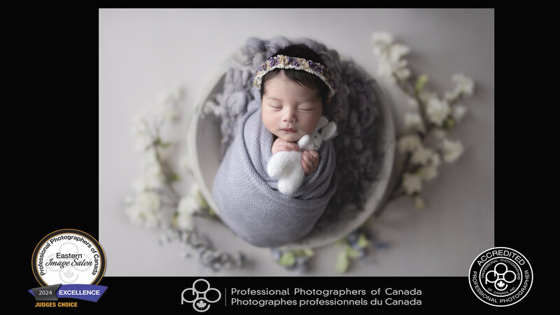 Denise a Paris, Ontario resident is a newborn baby and family photographer, Meraki Photographic Creations has earned 2 prestigious awards during a fall image salon with the PPOC-Professional Photographers of Canada. She earned an Excellence and also a Judge's Choice awards for her image named Cocoon.