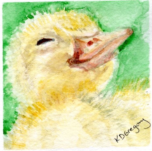 kd gregory itty bitty art  - quack