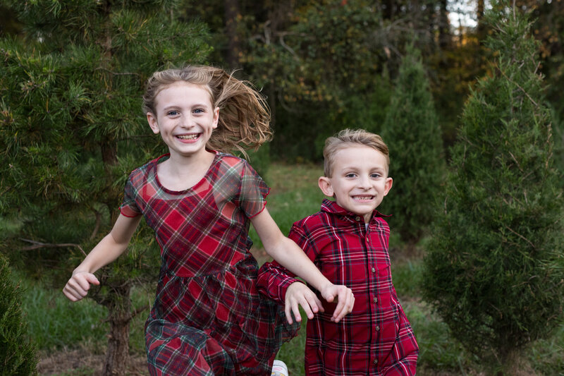 LightCreative_202310_Allison_RaleighChristmasTreeFarmPhotos_002