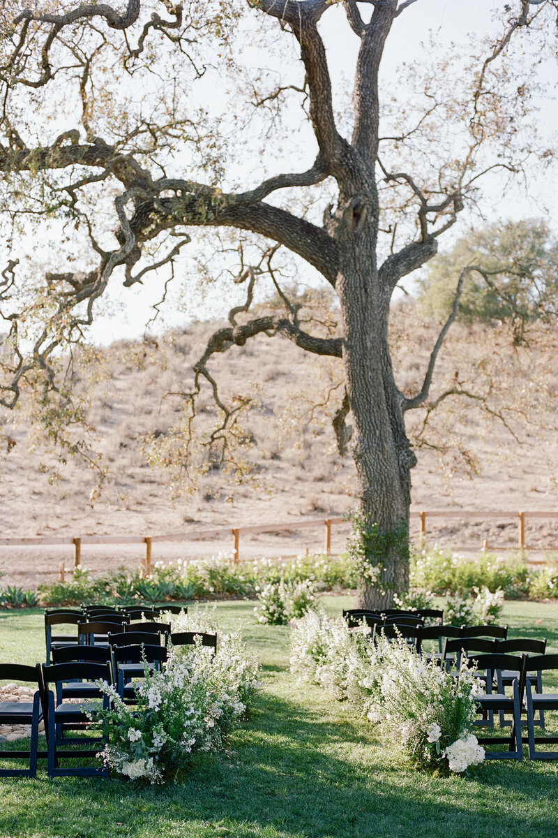 Wedding ceremony site under large tree at Foxen Canyon Ranch