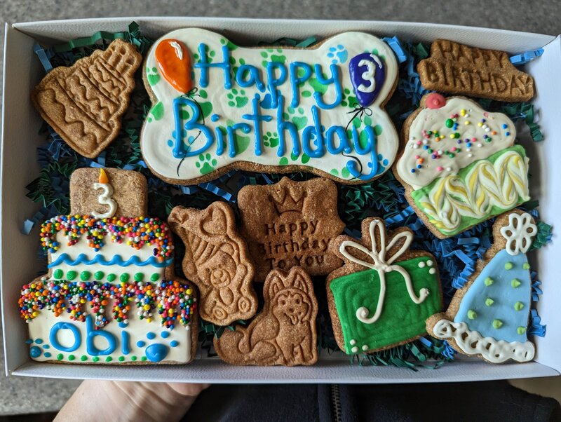 Box of birthday themed dog treats, some frosted, some unfrosted.