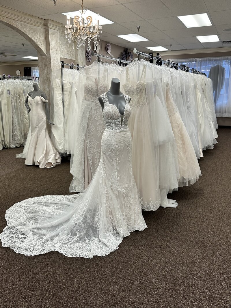 Photo Oct 30 2025, 5 23 26 PM