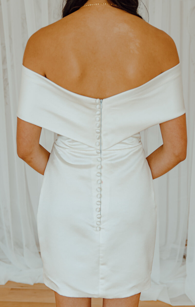 Ashley mini dress back