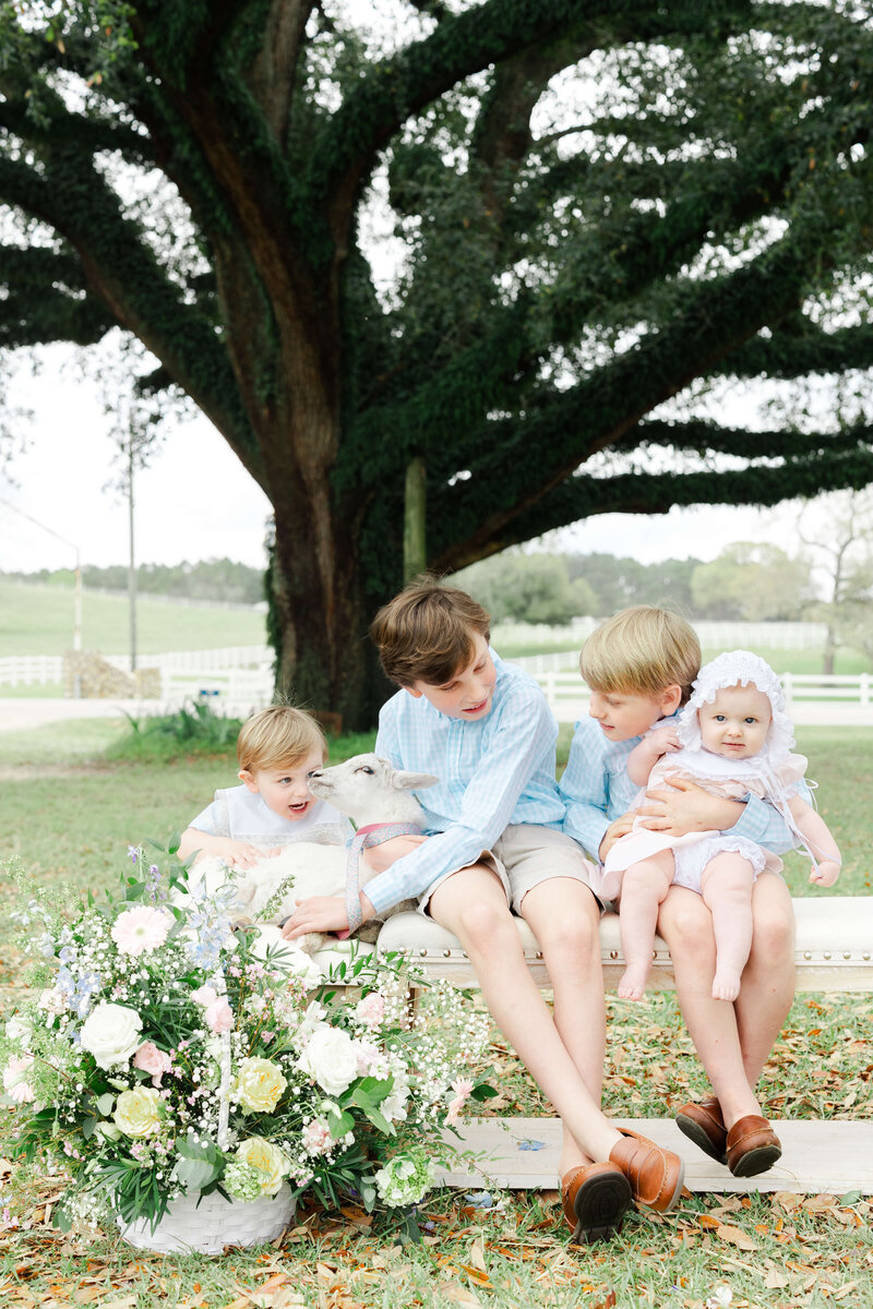 4 siblings sitting on a bench holding a baby lamb in dothan alabama