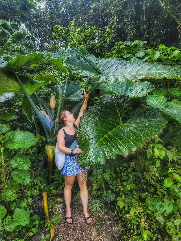 E89E40F5-1CF7-45FB-B9BD-A7EA58F3AD07_1_105_c