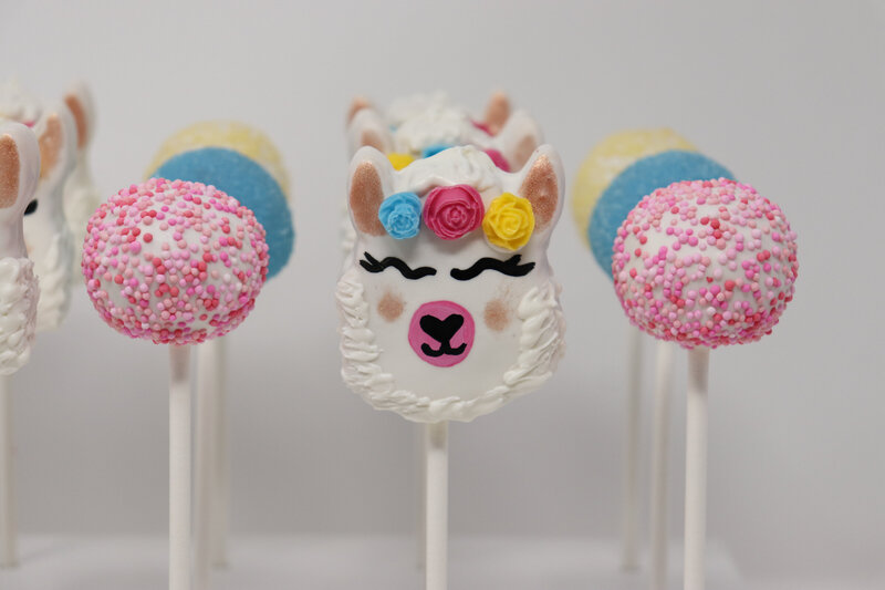 bakery - cakes - cake pops -north dakota -253