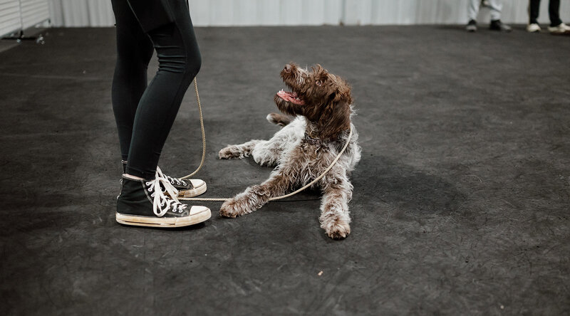 10085983406.jpg_exif1