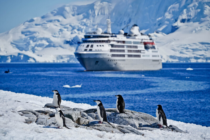 Group of penguins standing on snowy rocks with an expedition cruise ship in icy Antarctic waters.