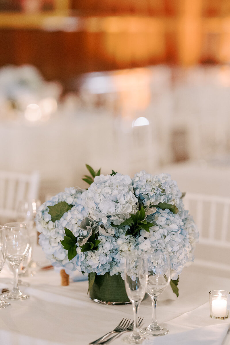 6.29.24 - Highlights (Ellen Sargent Photography)-95