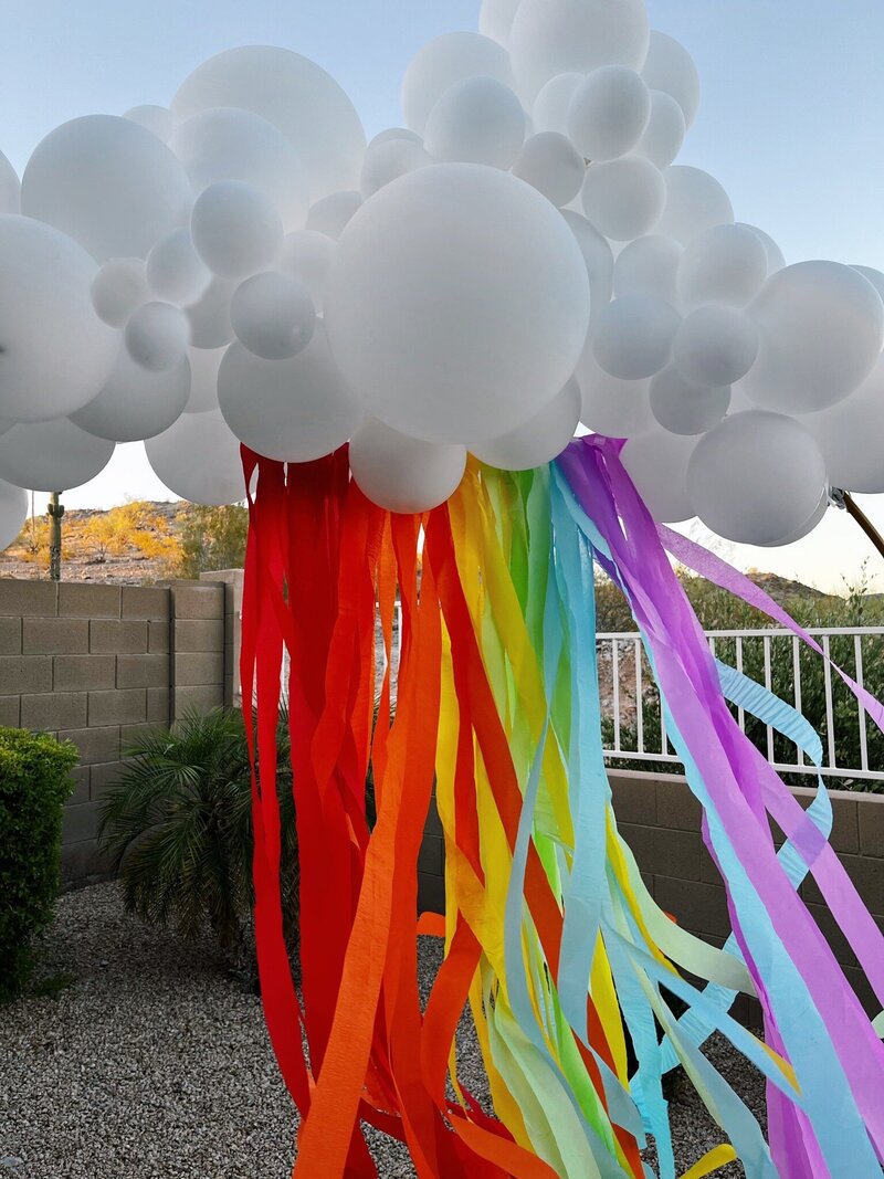 Goodyear AZ Balloon Artist  Celebrate State 48 Balloons