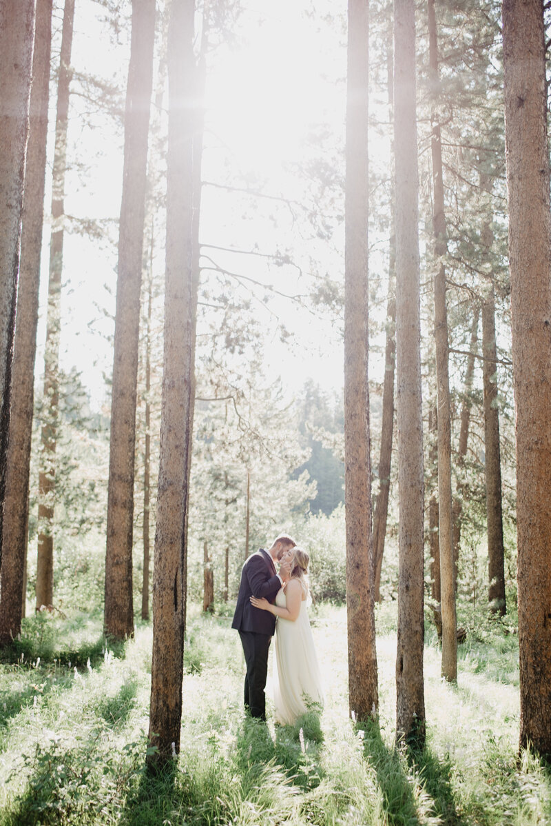 jackson hole wedding in the woods with bride and groom holding each other and kissing as the afternoon sun shines through the tall pine trees casting the trees shadows forward through the grassy forest floor