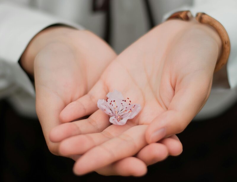 open hands with a flower in them