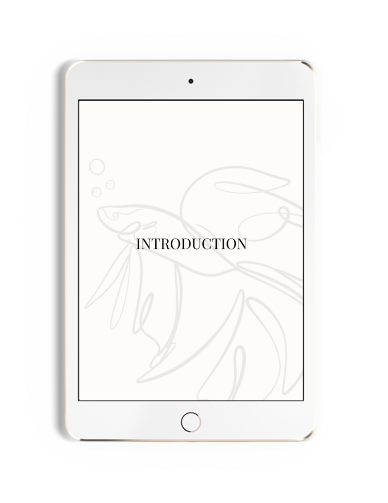 example page of a chapter cover found in the ebook