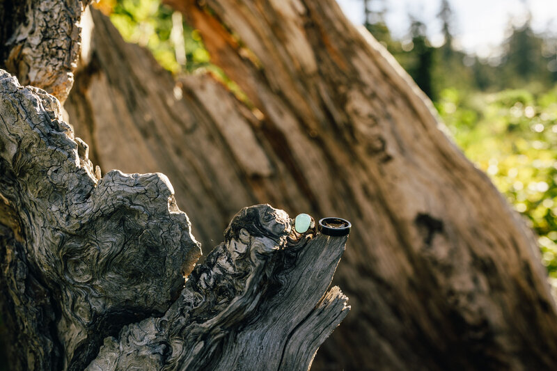 North-Cascades-Washington-Elopement-11