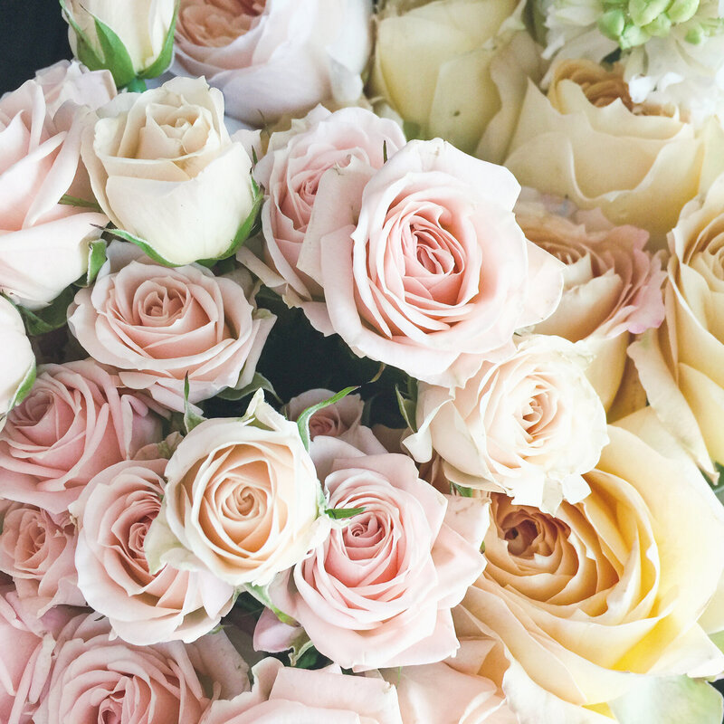 Rose-all-day_Social-Squares_Styled-Stock_01219