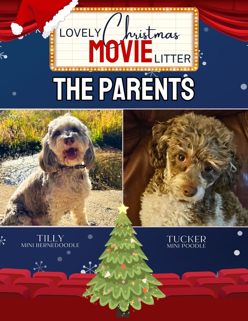 Christmas Movie - The Parents