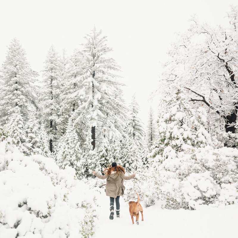 California Elopement Photographer 2
