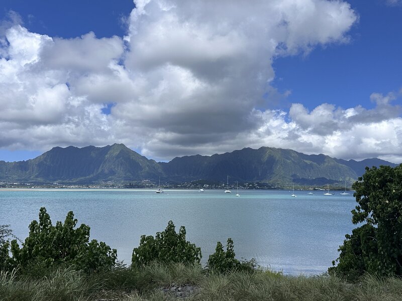 Support for military spouses, moms, and multi-passionate women navigating real life. Liz offers virtual assistant services, strategy calls, and practical tools to help you build a life and business that feels sustainable, aligned, and yours.