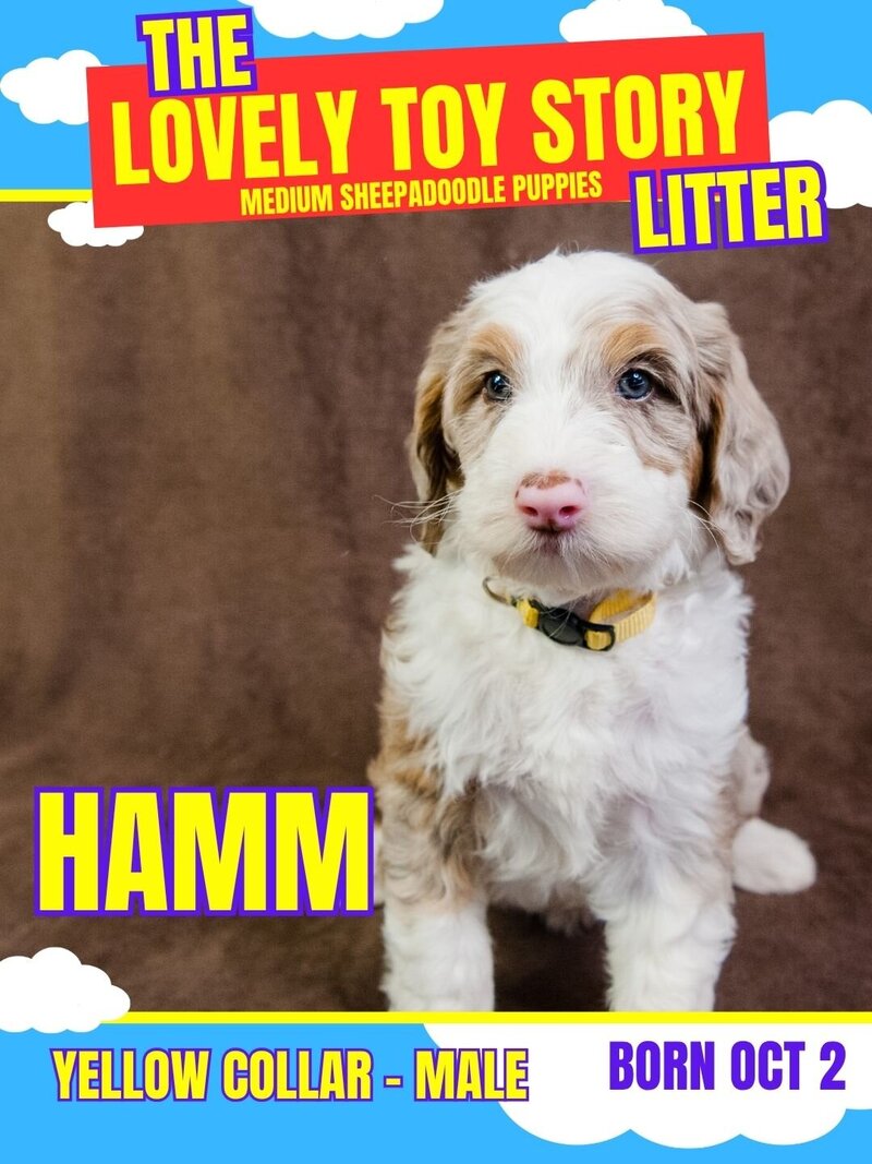 Toy Story -Yellow Hamm Male