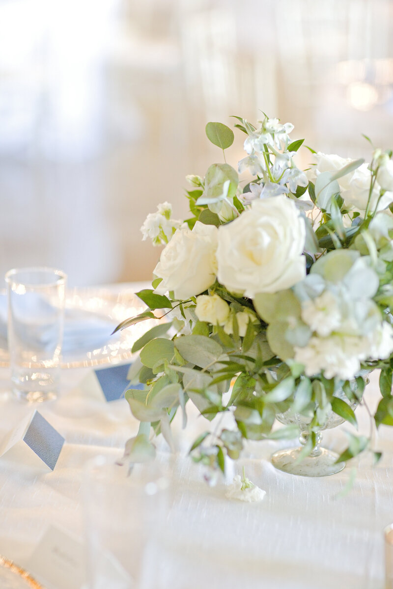 bella by sara-canyonwood ridge-robin rogers photography