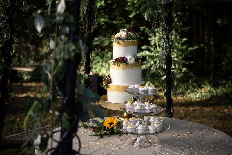 table under a trellis with wedding cake