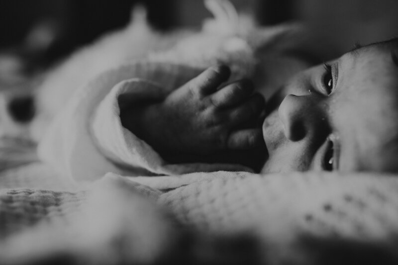 rex newborn21