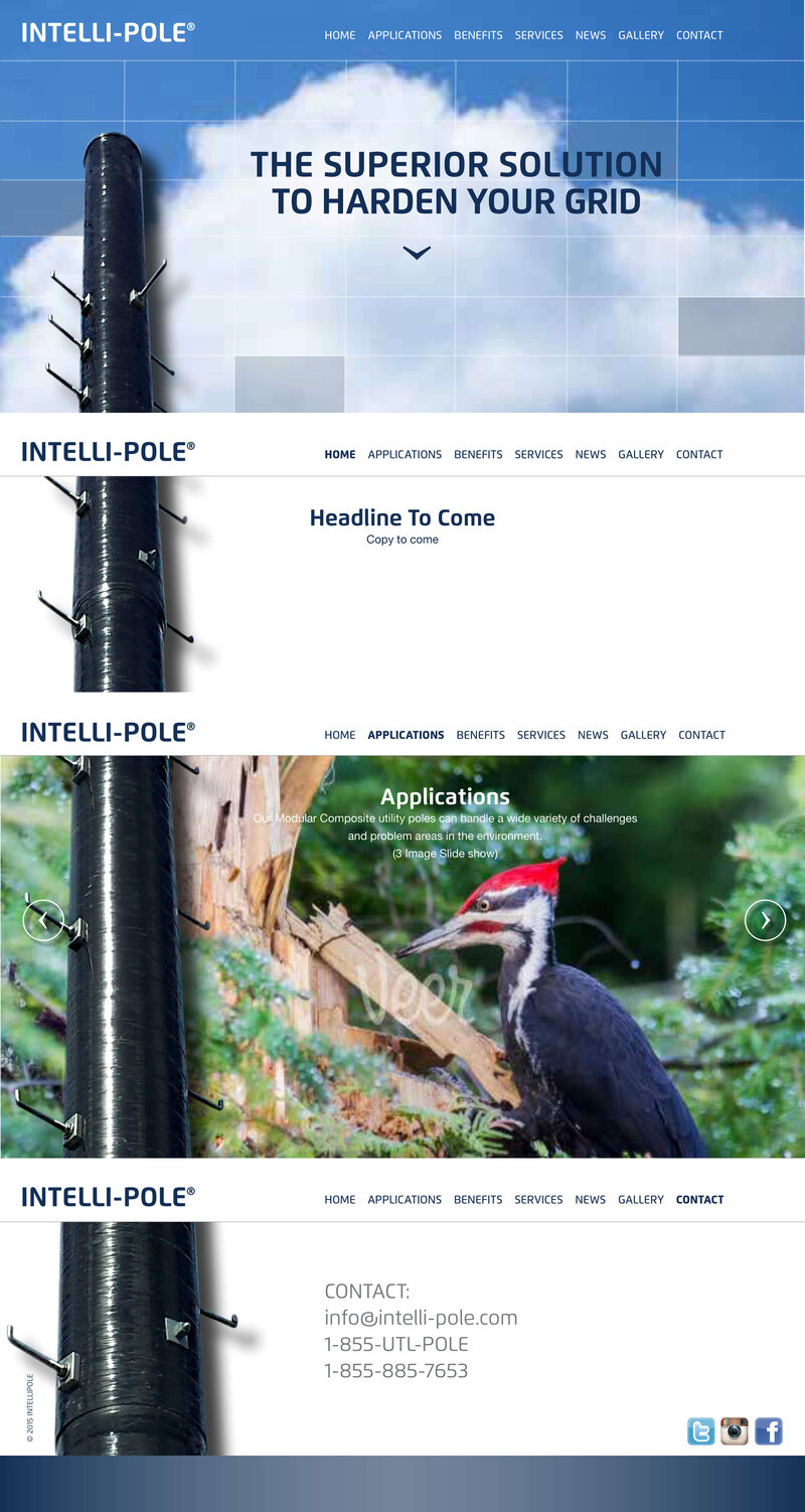 IntelliPole Website_Homepage