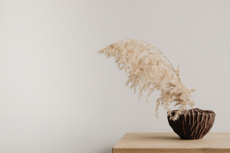 kaboompics_brown-vase-with-pampas-grass-28167
