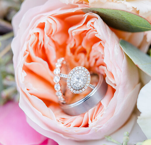 wedding rings in garden rose