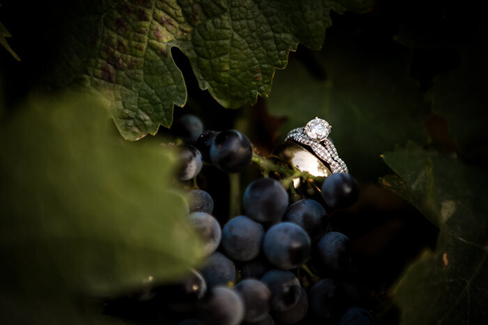 12_rings_oyster_ridge_grape_vines_santa_margarita_ca_by_wedding_photographer_cassia_karin_photography-101