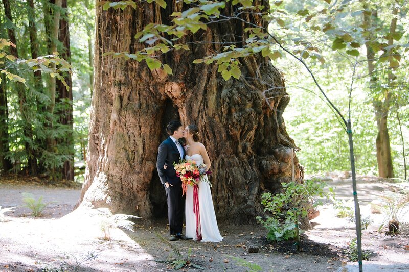 northern California elopement in the redwoods