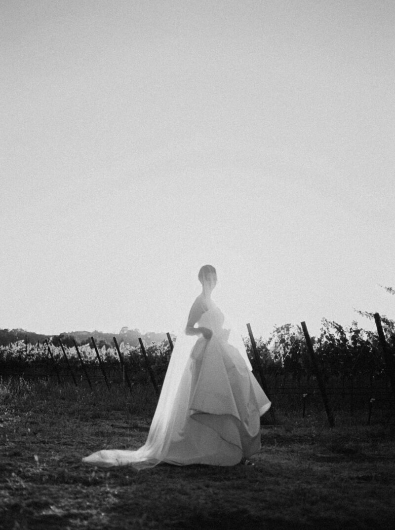 Lizzie Baker Photography _ Tori & Kevin Wedding _ 6.28.2025 _ California Wedding Photographer _ Sonoma Wedding Photographer _ California Winery Wedding Photographer-525