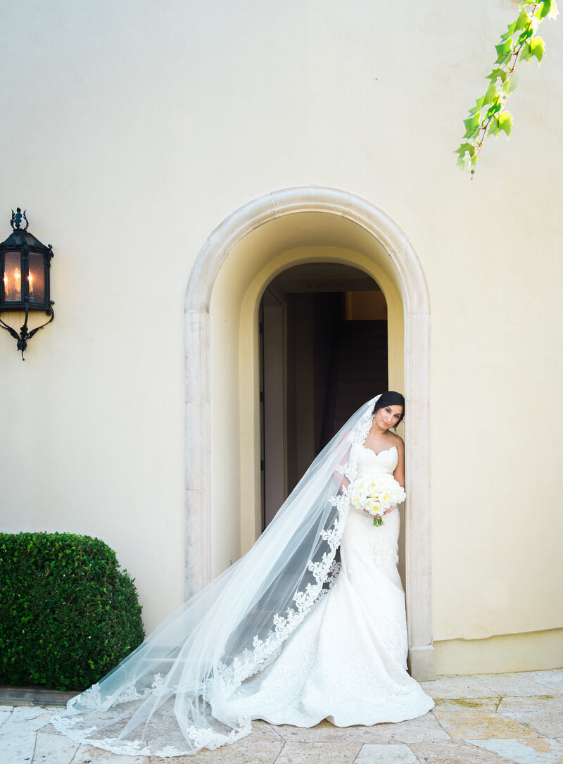 Beautiful bride standing gracefully in an arch, showcasing her wedding gown and gentle smile on her special day.