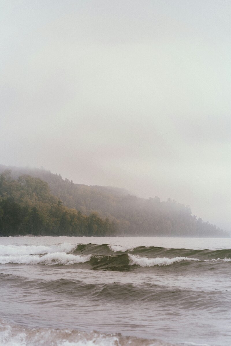 Calming trees