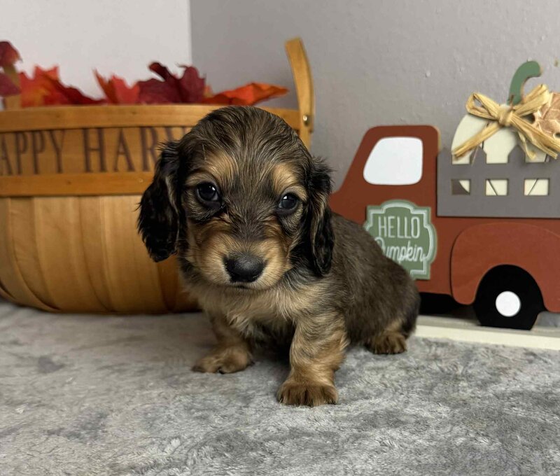 4dac737f-0af5-4003-add6-69034eab6beb